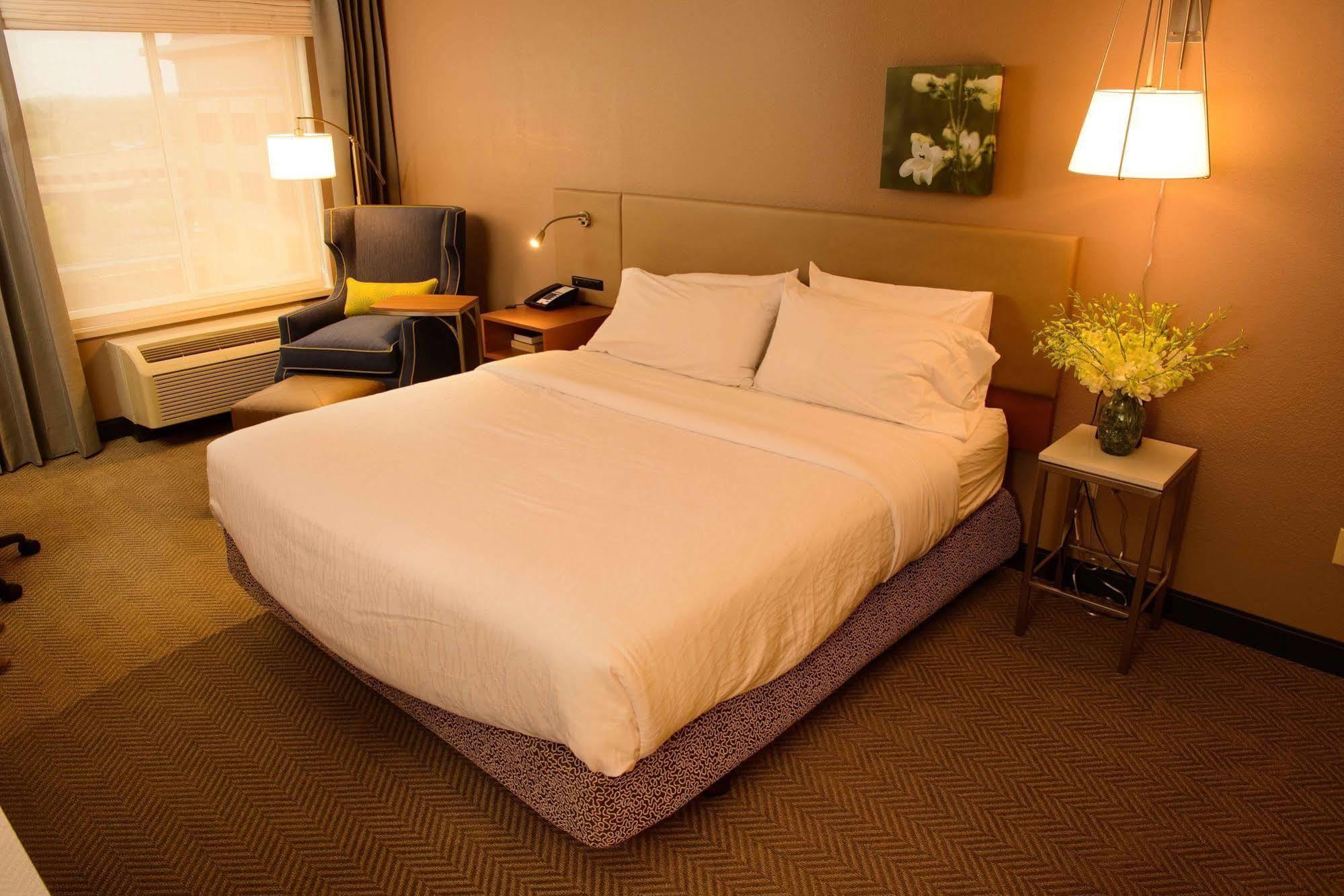 Hilton Garden Inn Rochester Downtown Exterior foto
